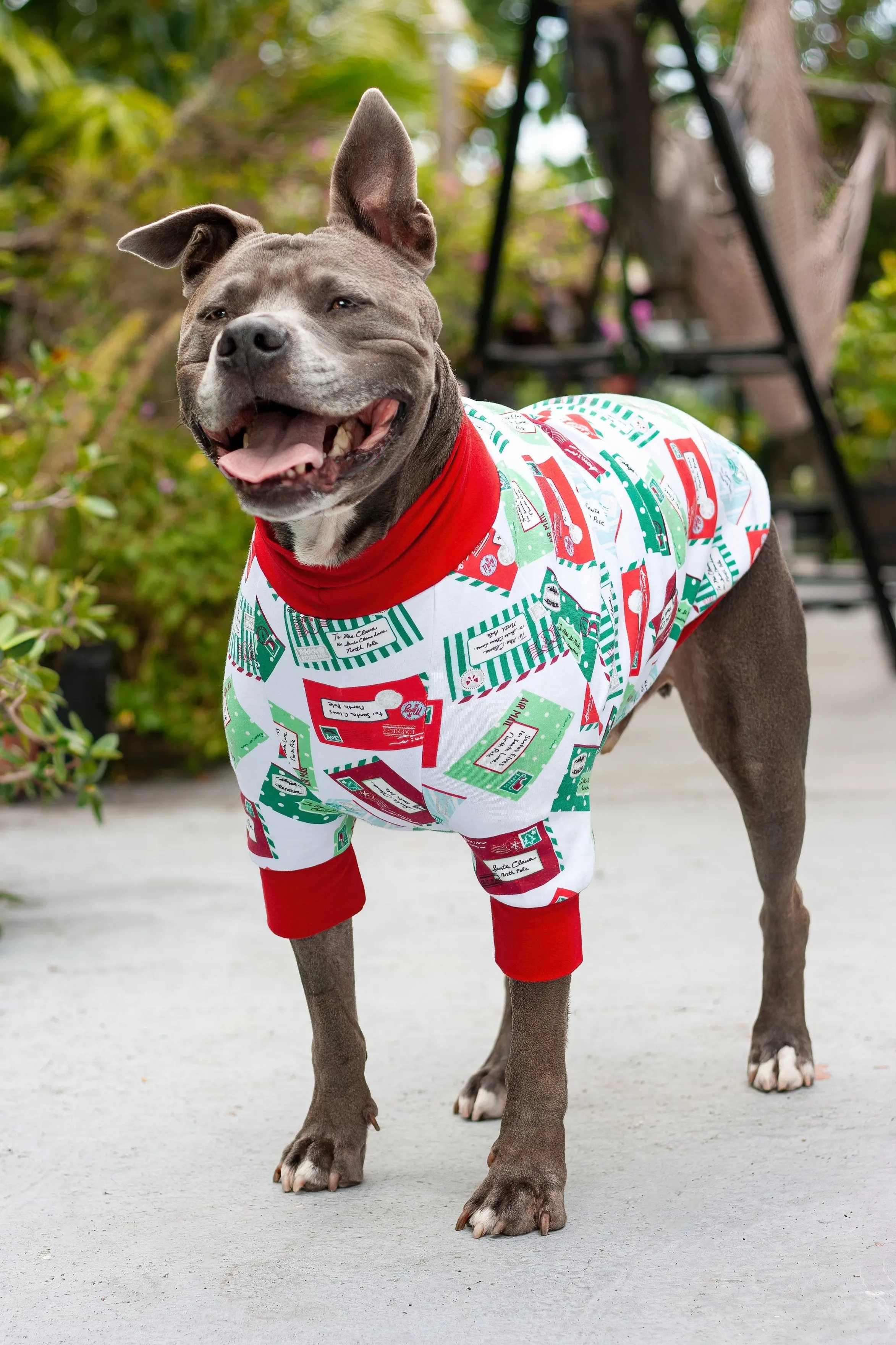 Christmas Letters to Santa Dog Pajamas