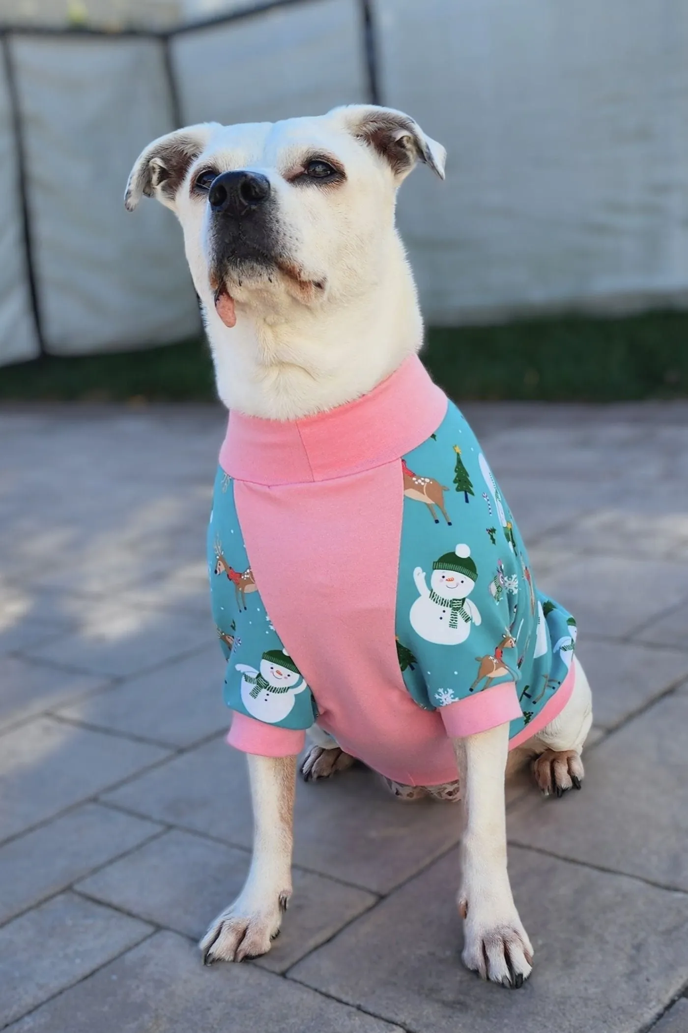 Festive Snowmen Dog Pajamas