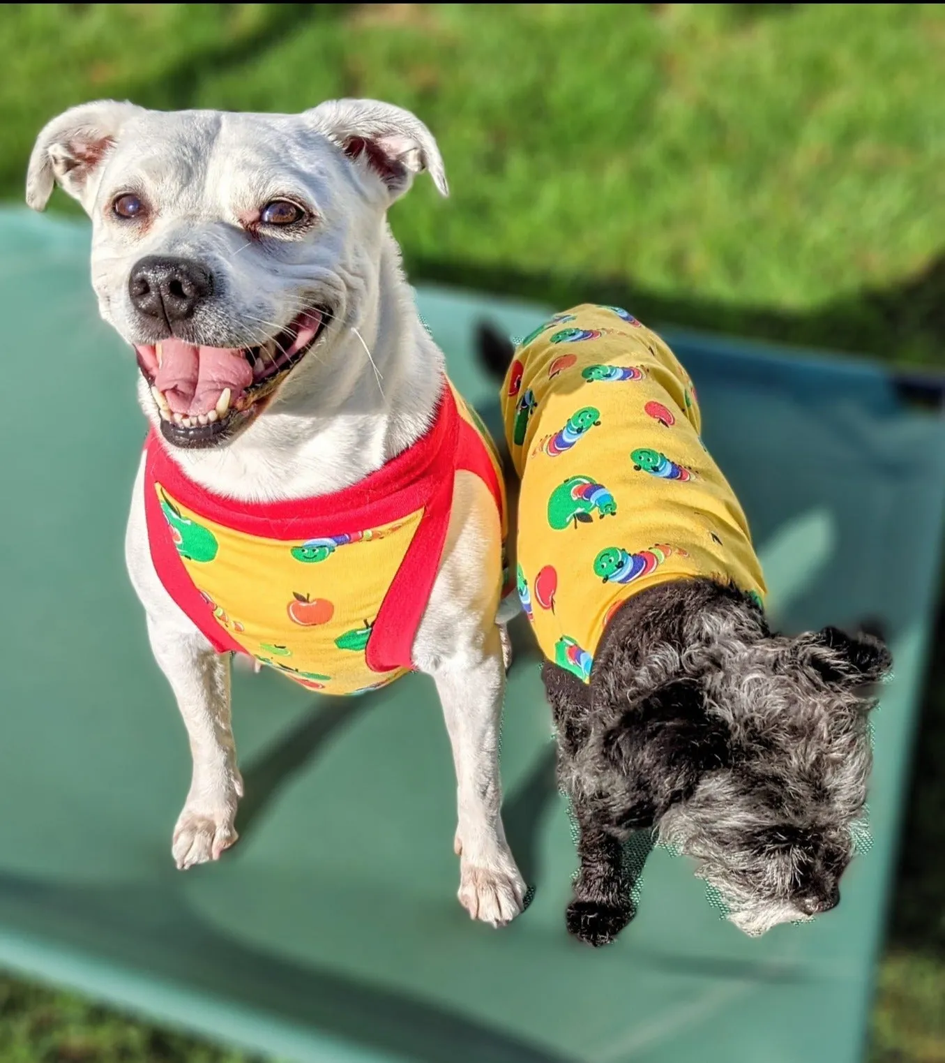 Hungry Caterpillar Dog Pajamas