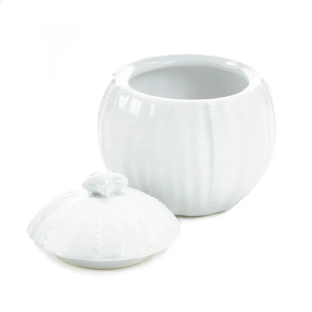 Pure Ceramic Container