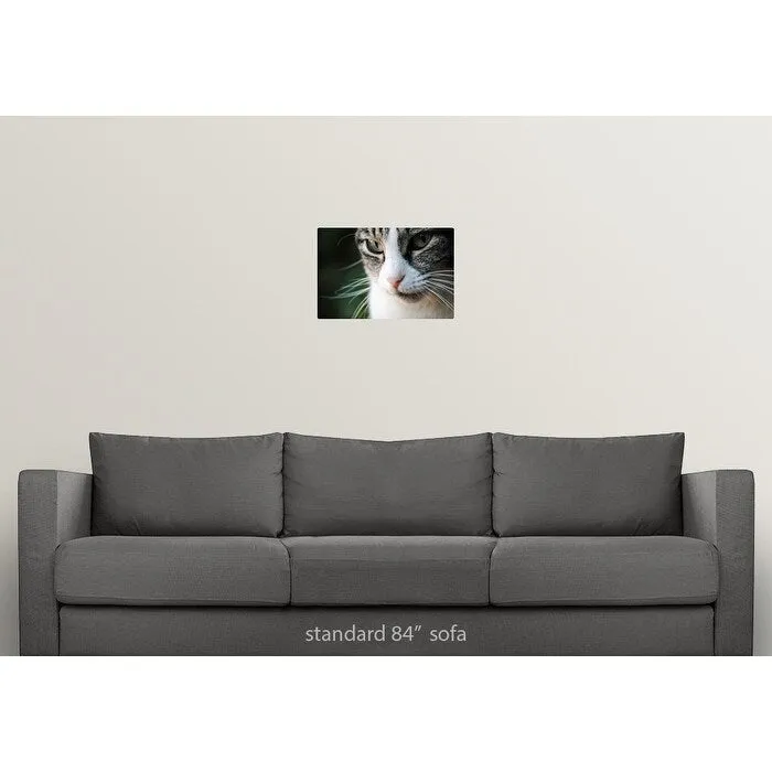 "A close-up portrait of a gray and white cat's face." Poster Print - Multi