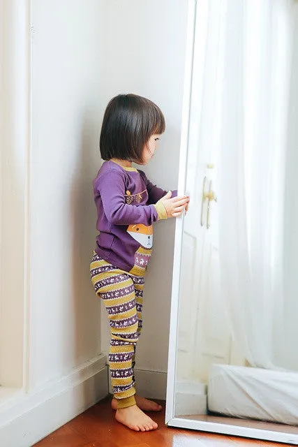 Snug Fox Long Sleeve Pajama